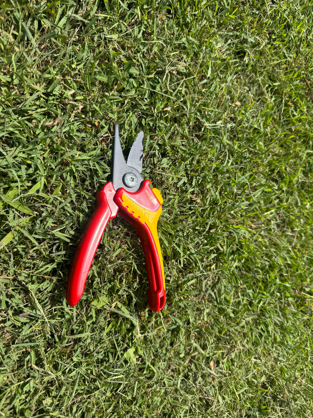 Sécateur professionnel Wolf – recommandé par VIREO